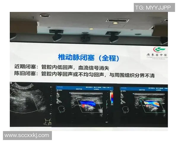 布尔格与索肖的对决分析及双方近期状态评估