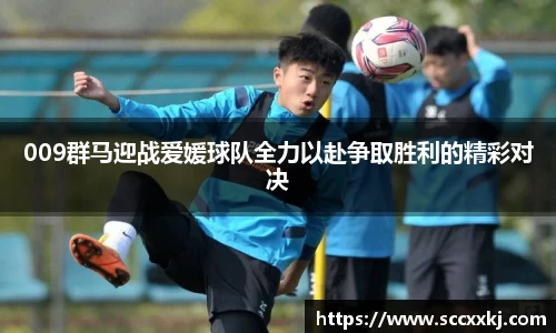 009群马迎战爱媛球队全力以赴争取胜利的精彩对决