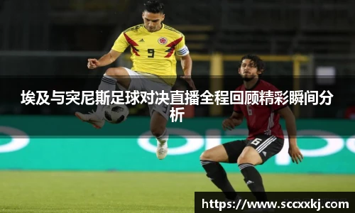 哈哈体育官网版