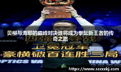 贝柳与海耶的巅峰对决谁将成为拳坛新王者的传奇之路