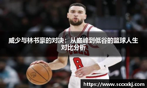 哈哈体育官网版